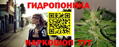 бошки Ставрополь