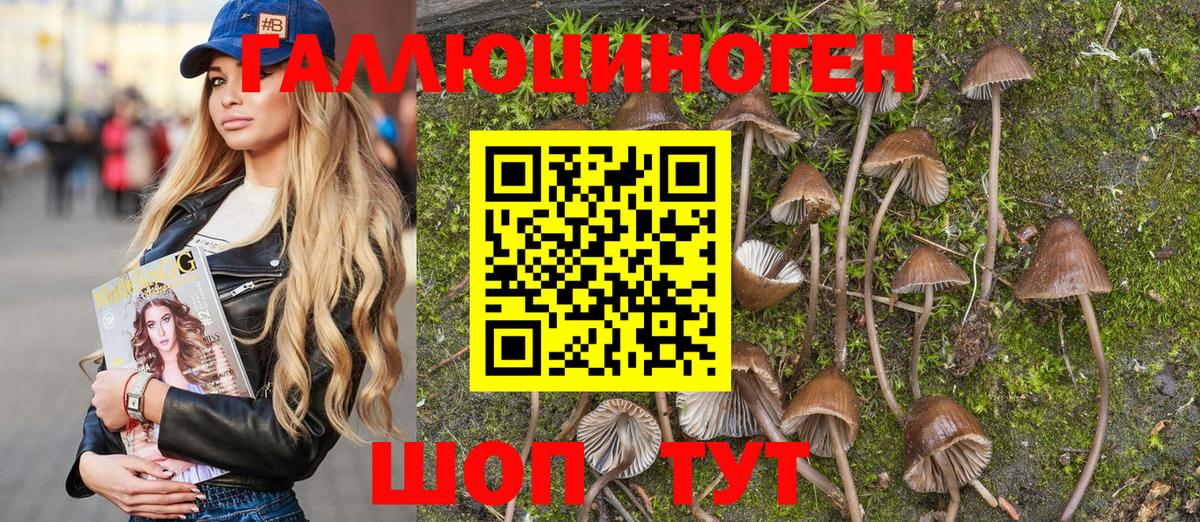 Галлюциногенные грибы Magic Shrooms  Вход с VPN  закладки  Псилоцибиновые грибы GOLDEN TEACHER  Нягань 